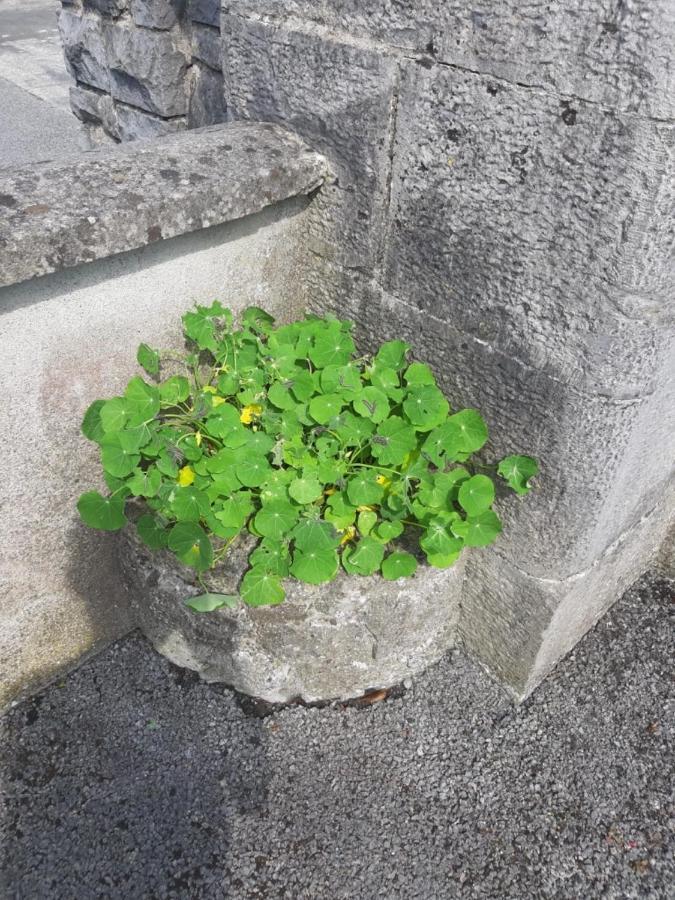 Strokestown Townhouse Apartments Luaran gambar